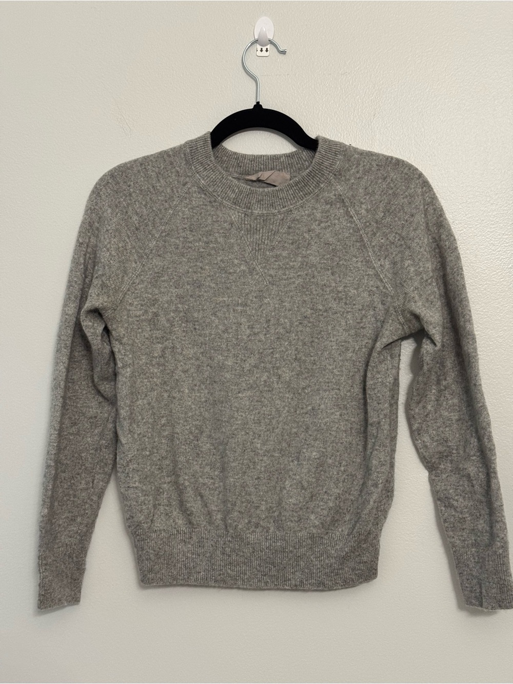 Everlane Light Heather Gray Crewneck Cashmere Sweater